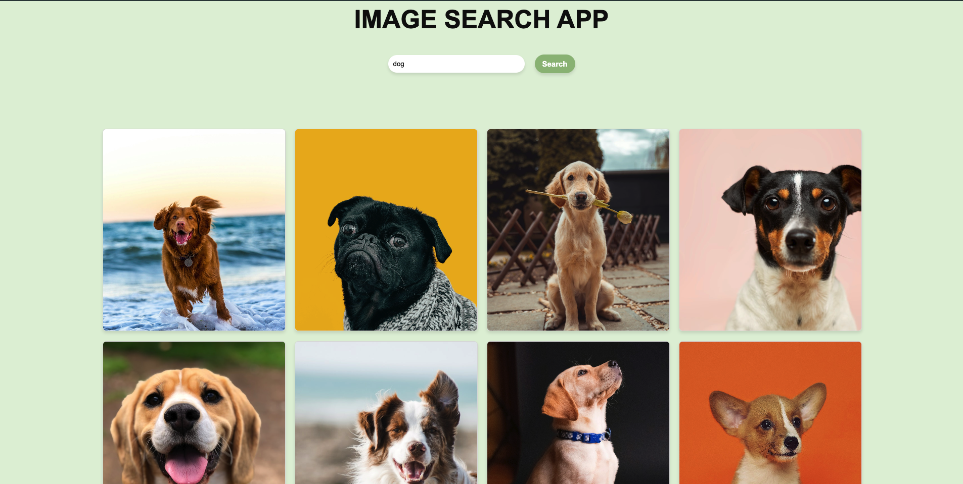Image Search App